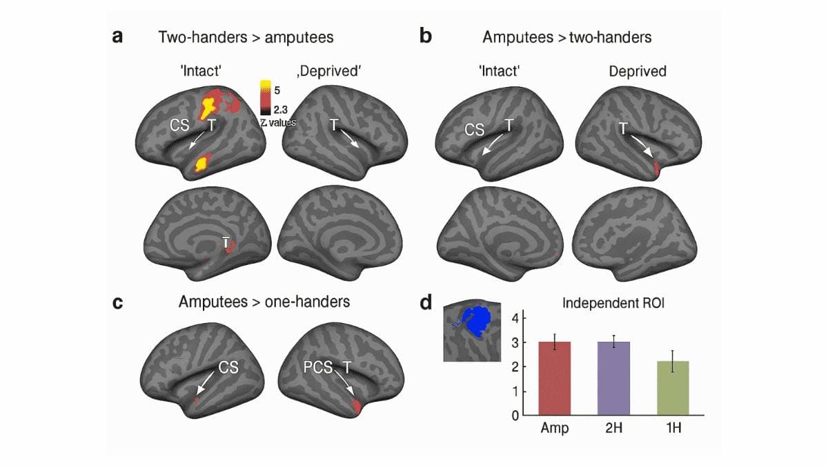 π’ The power of switching hands